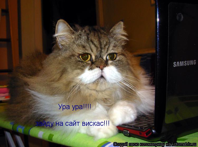 Котоматрица: Ура ура!!!! зайду на сайт вискас!!!