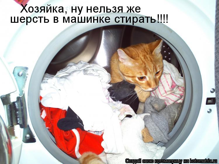шерсть в машинке стирать!!!! Хозяйка, ну нельзя же... Котоматрица: шерсть в машинке стирать!!!! Хозяйка, ну нельзя же