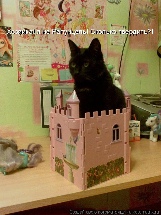 Хозяйка! я не Рапунцель! Сколько твердить?!... Котоматрица: Хозяйка! я не Рапунцель! Сколько твердить?!