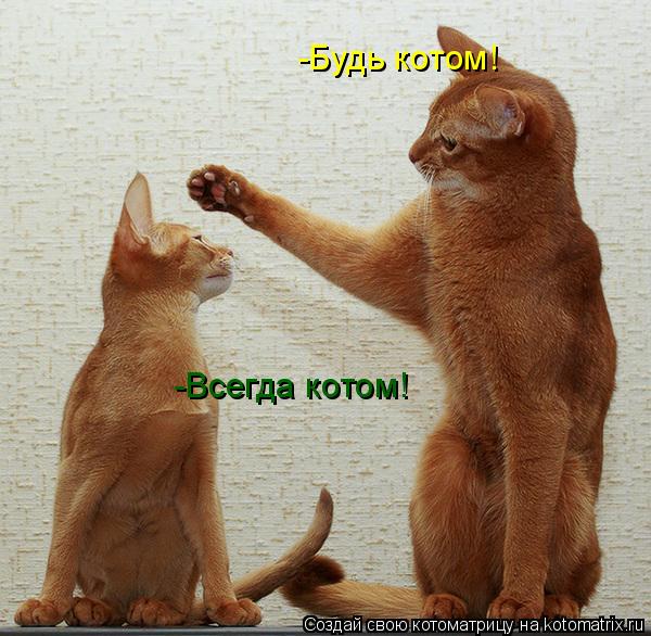 Котоматрица: -Будь котом! -Всегда котом!