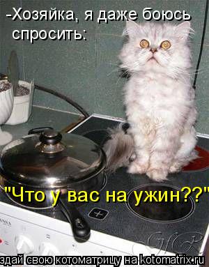 -Хозяйка, я даже боюсь спросить: "Что у вас на ужин??"... Котоматрица: -Хозяйка, я даже боюсь спросить: "Что у вас на ужин??"