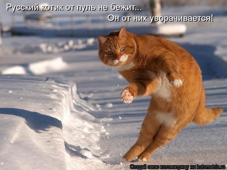 Русский котик от пуль не бежит... Он от них уворачивается!... Котоматрица: Русский котик от пуль не бежит... Он от них уворачивается!