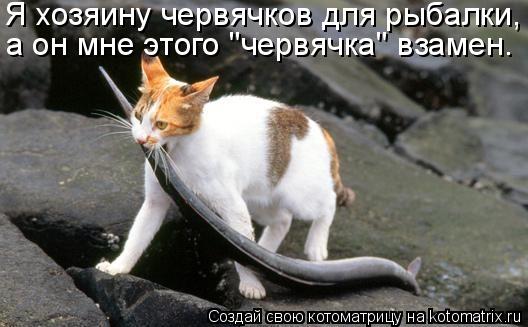 Котоматрица: Я хозяину червячков для рыбалки, а он мне этого "червячка" взамен.