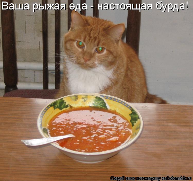 Ваша рыжая еда - настоящая бурда!... Котоматрица: Ваша рыжая еда - настоящая бурда!