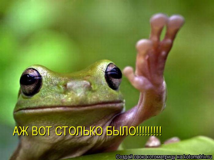 АЖ ВОТ СТОЛЬКО БЫЛО!!!!!!!!!... Котоматрица: АЖ ВОТ СТОЛЬКО БЫЛО!!!!!!!!!