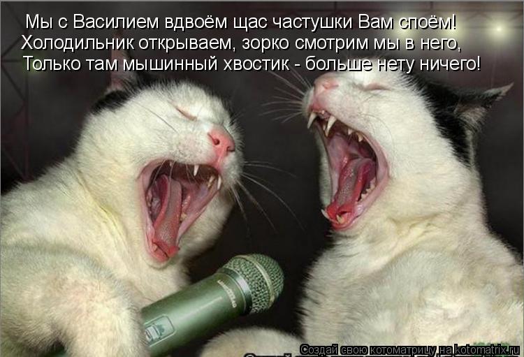 Мы с Василием вдвоём щас частушки Вам споём! Холодильник открываем, зорко смотрим мы в него, Только т... Котоматрица: Мы с Василием вдвоём щас частушки Вам споём! Холодильник открываем, зорко смотрим мы в него, Только там мышинный хвостик - больше нету ничег