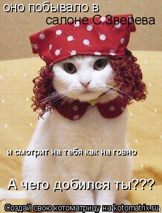 оно побывало в салоне С.Зверева и смотрит на тебя и смотрит на тебя как на говно А чего добился ты??... Котоматрица: оно побывало в салоне С.Зверева и смотрит на тебя и смотрит на тебя как на говно А чего добился ты???