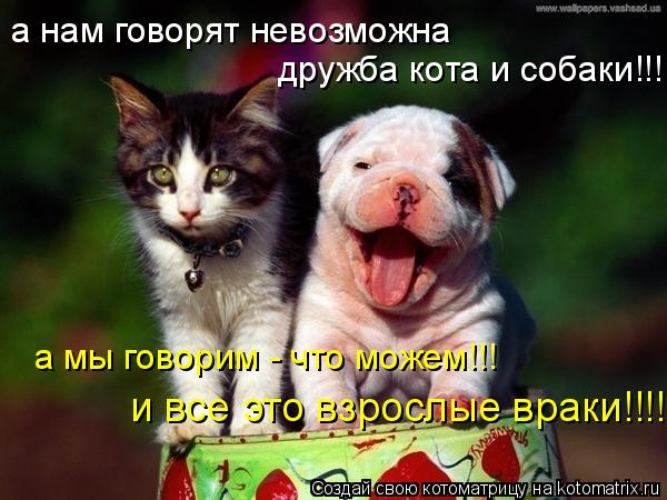 Котоматрица: а нам говорят невозможна дружба кота и собаки!!! а мы говорим - что можем!!! и все это взрослые враки!!!!