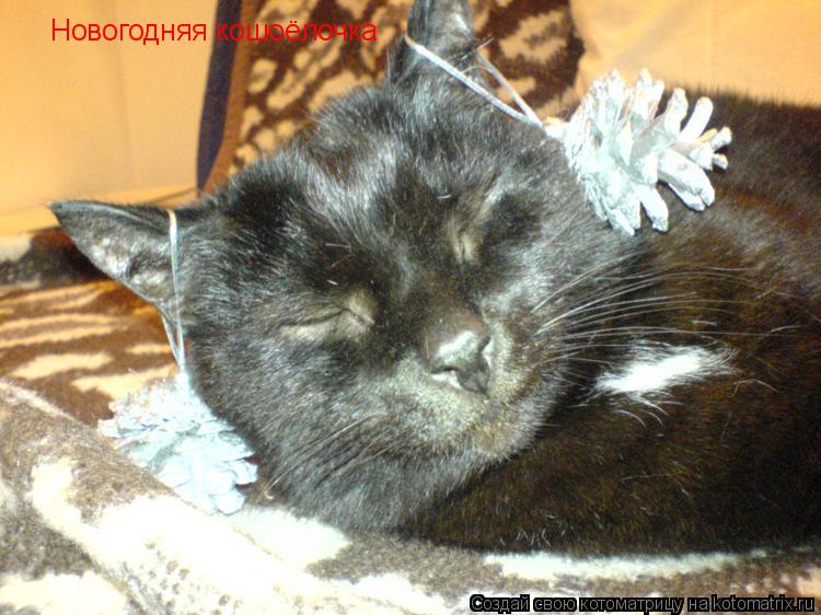 Котоматрица: Новогодняя кошоёлочка