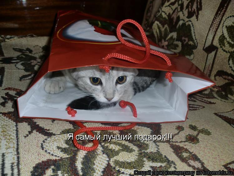 Я самый лучший подарок!!!... Котоматрица: Я самый лучший подарок!!!