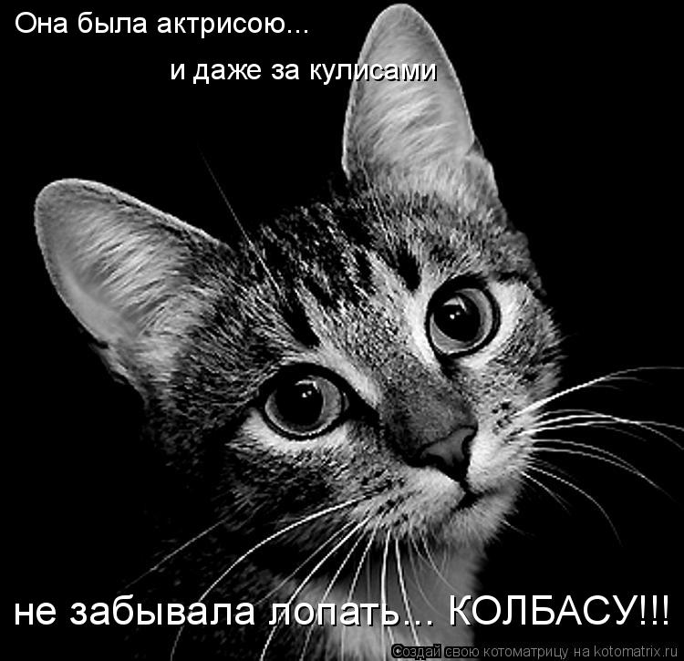 Котоматрица: Она была актрисою... и даже за кулисами не забывала лопать... КОЛБАСУ!!!