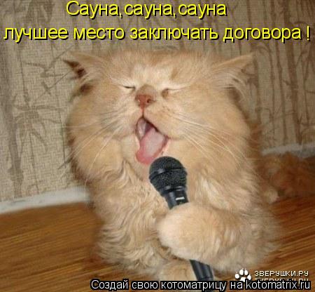 Сауна,сауна,сауна лучшее место заключать договора !... Котоматрица: Сауна,сауна,сауна лучшее место заключать договора !