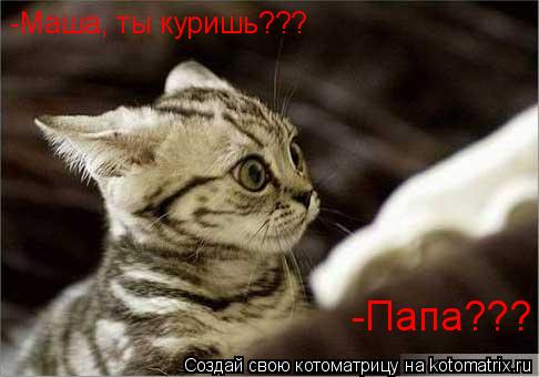 -Маша, ты куришь??? -Папа???... Котоматрица: -Маша, ты куришь??? -Папа???