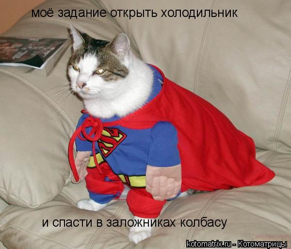 моё задание открыть холодильник и спасти в заложниках колбасу... Котоматрица: моё задание открыть холодильник и спасти в заложниках колбасу