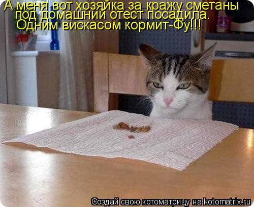 А меня вот хозяйка за кражу сметаны под домашний отест посадила. Одним вискасом кормит-Фу!!!... Котоматрица: А меня вот хозяйка за кражу сметаны под домашний отест посадила. Одним вискасом кормит-Фу!!!