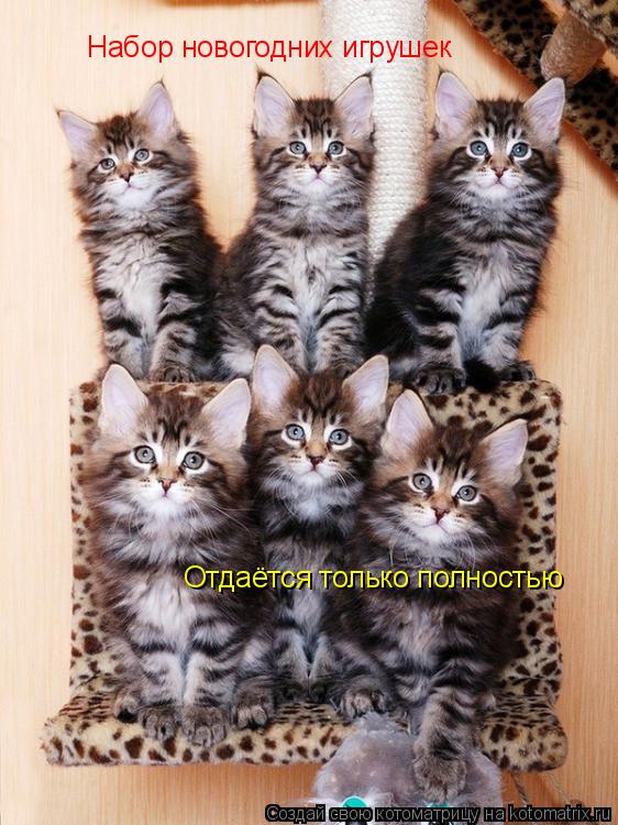 Набор новогодних игрушек Отдаётся только полностью... Котоматрица: Набор новогодних игрушек Отдаётся только полностью