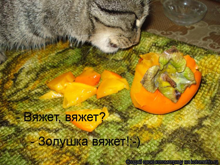 - Вяжет, вяжет? - Золушка вяжет!;-)... Котоматрица: - Вяжет, вяжет? - Золушка вяжет!;-)