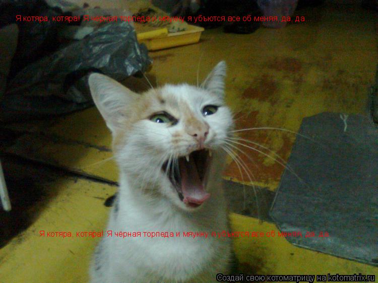 Я котяра, котяра! Я чёрная торпеда и мяукну я убъются все об меняя, да, да... Я котяра, котяра! Я чёр... Котоматрица: Я котяра, котяра! Я чёрная торпеда и мяукну я убъются все об меняя, да, да... Я котяра, котяра! Я чёрная торпеда и мяукну я убъются все об меняя,