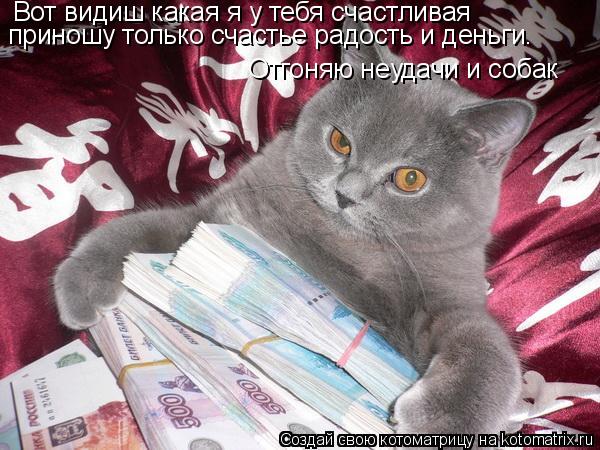 Вот видиш какая я у тебя счастливая приношу только счастье радость и деньги. Отгоняю неудачи и собак... Котоматрица: Вот видиш какая я у тебя счастливая приношу только счастье радость и деньги. Отгоняю неудачи и собак
