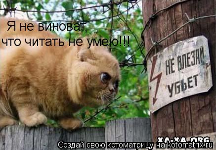 Котоматрица: Я не виноват, что читать не умею!!!
