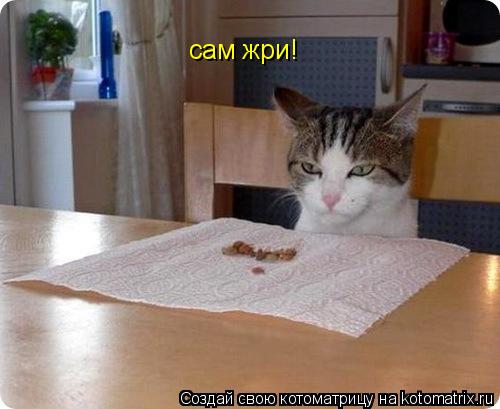 Котоматрица: сам жри!