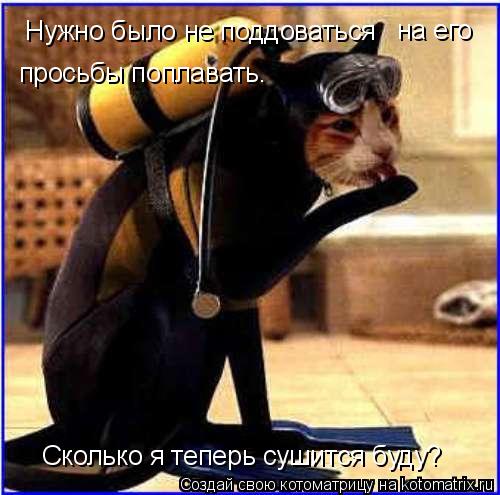 Нужно было не поддоваться на его просьбы поплавать. Сколько я теперь сушится буду?... Котоматрица: Нужно было не поддоваться на его просьбы поплавать. Сколько я теперь сушится буду?