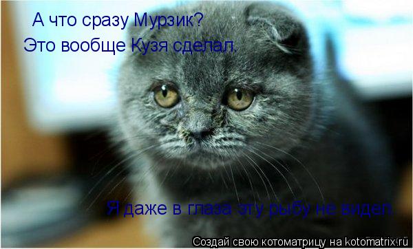 А что сразу Мурзик? Это вообще Кузя сделал. Я даже в глаза эту рыбу не видел.... Котоматрица: А что сразу Мурзик? Это вообще Кузя сделал. Я даже в глаза эту рыбу не видел.