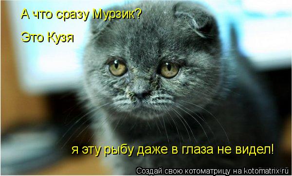 Котоматрица: А что сразу Мурзик? Это Кузя я эту рыбу даже в глаза не видел!