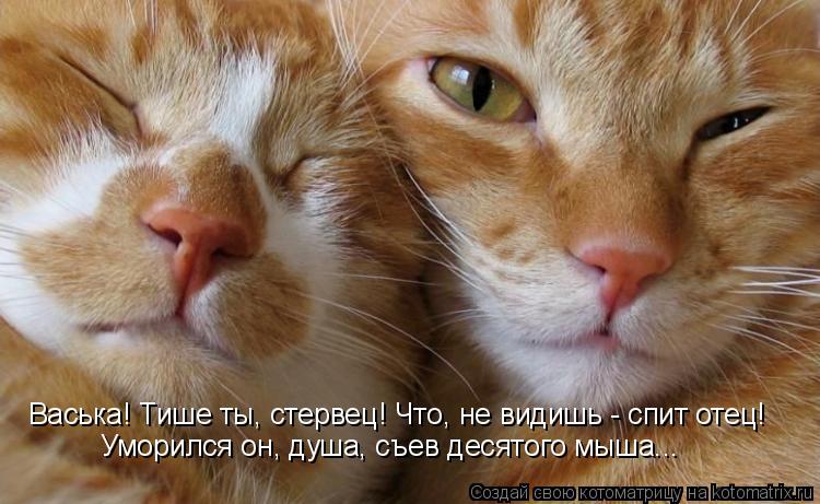 Васька! Тише ты, стервец! Что, не видишь - спит отец! Уморился он, душа, съев десятого мыша...... Котоматрица: Васька! Тише ты, стервец! Что, не видишь - спит отец! Уморился он, душа, съев десятого мыша...
