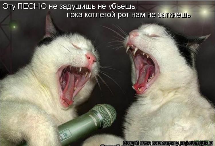 Котоматрица: Эту ПЕСНЮ не задушишь не убъешь, пока котлетой рот нам не заткнёшь.