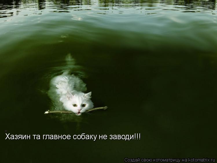 Хазяин та главное собаку не заводи!!!... Котоматрица: Хазяин та главное собаку не заводи!!!