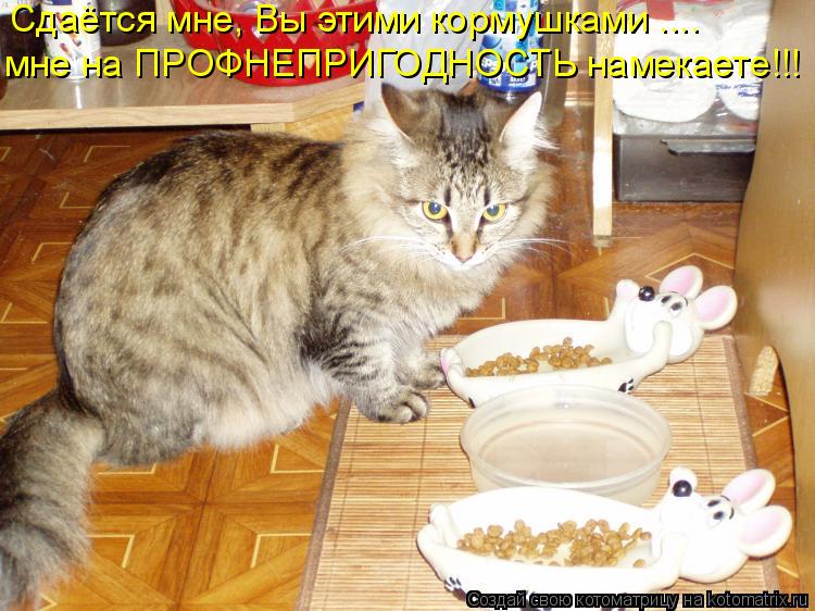 Сдаётся мне, Вы этими кормушками .... мне на ПРОФНЕПРИГОДНОСТЬ намекаете!!!... Котоматрица: Сдаётся мне, Вы этими кормушками .... мне на ПРОФНЕПРИГОДНОСТЬ намекаете!!!