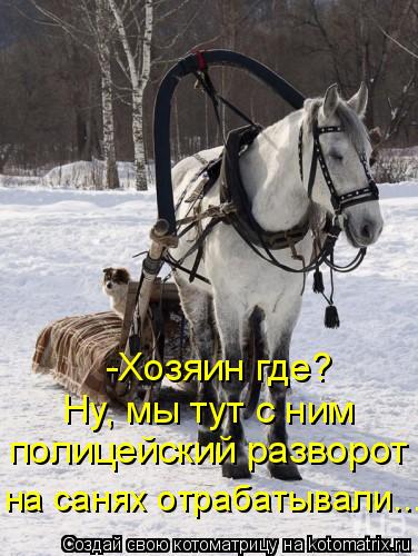 Котоматрица: -Хозяин где? Ну, мы тут с ним  полицейский разворот на санях отрабатывали...