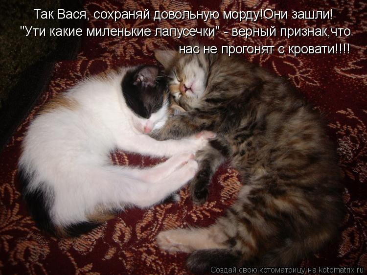 Так Вася, сохраняй довольную морду!Они зашли! "Ути какие миленькие лапусечки" - верный признак,что на... Котоматрица: Так Вася, сохраняй довольную морду!Они зашли! "Ути какие миленькие лапусечки" - верный признак,что нас не прогонят с кровати!!!!