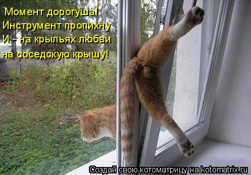 Момент дорогуша! Инструмент пропихну И - на крыльях любви на соседскую крышу!... Котоматрица: Момент дорогуша! Инструмент пропихну И - на крыльях любви на соседскую крышу!