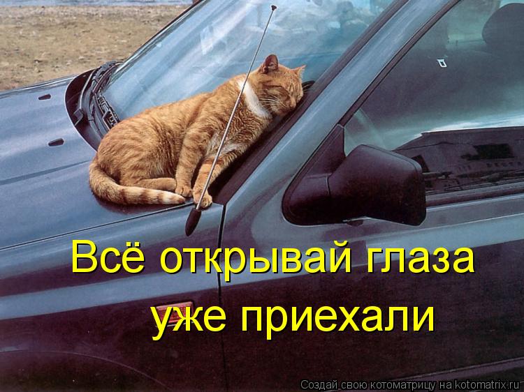 Котоматрица: Всё открывай глаза уже приехали