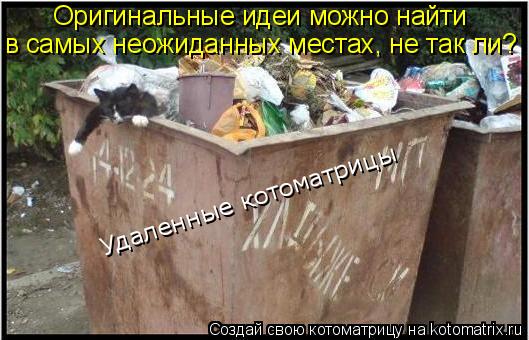 Котоматрица: Удаленные котоматрицы Оригинальные идеи можно найти  в самых неожиданных местах, не так ли?