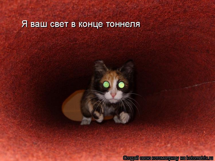 Котоматрица: Я ваш свет в конце тоннеля
