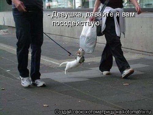 - Девушка, давайте я вам посодействую!... Котоматрица: - Девушка, давайте я вам посодействую!