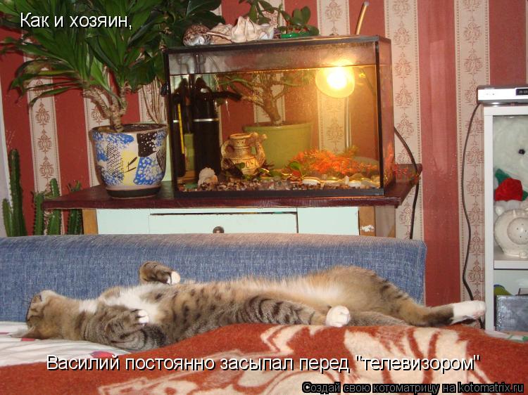 Как и хозяин, Василий постоянно засыпал перед "телевизором"... Котоматрица: Как и хозяин, Василий постоянно засыпал перед "телевизором"