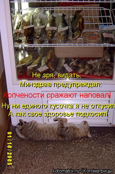 Минздрав предупреждал: Не зря, видать, А как свое здоровье подкосил! Ну ни единого кусочка я не отку... Котоматрица: Минздрав предупреждал: Не зря, видать, А как свое здоровье подкосил! Ну ни единого кусочка я не откусил, Копчености сражают наповал!