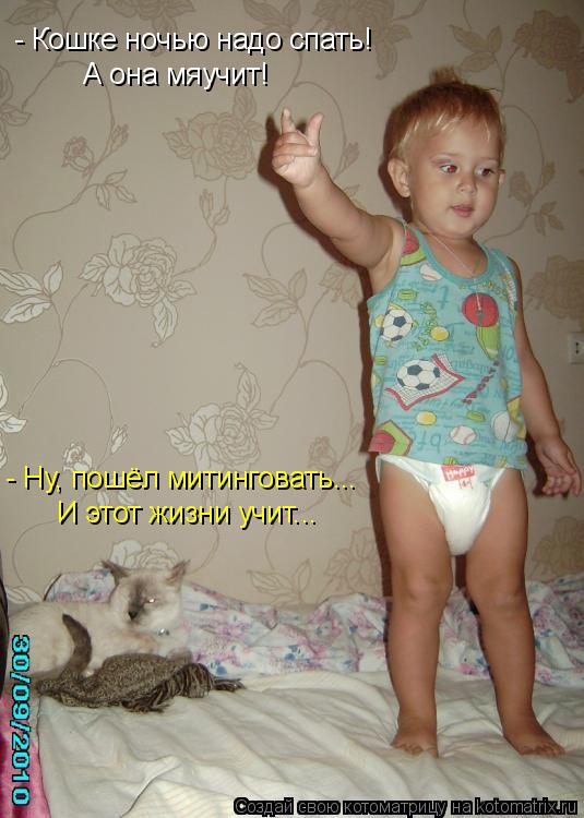 Котоматрица: - Кошке ночью надо спать!  А она мяучит! - Ну, пошёл митинговать... И этот жизни учит...