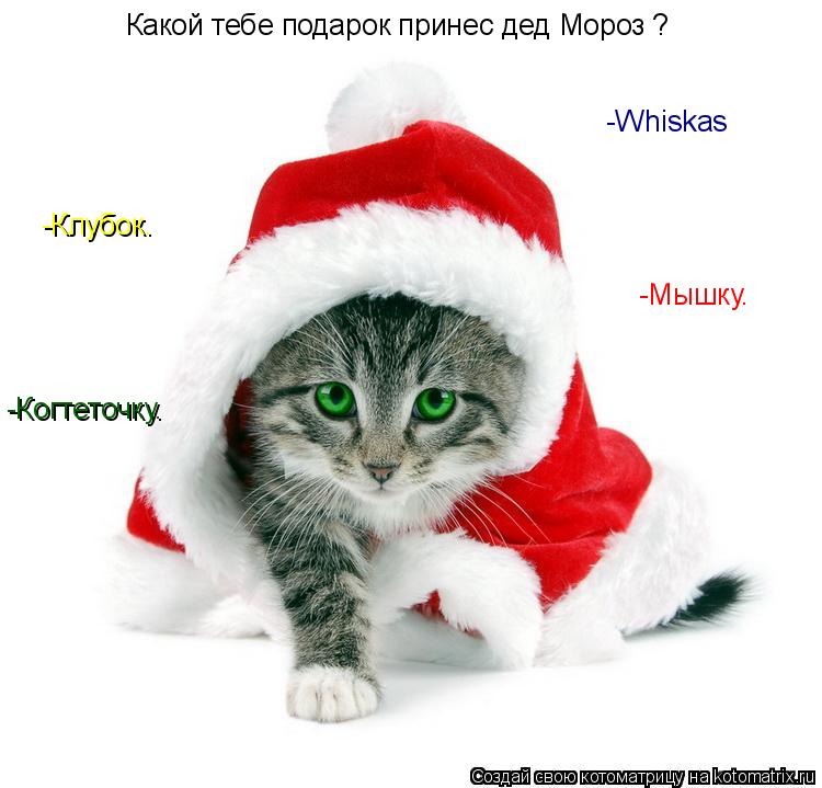 Какой тебе подарок принес дед Мороз ? -Клубок. -Мышку. -Когтеточку. -Whiskas... Котоматрица: Какой тебе подарок принес дед Мороз ? -Клубок. -Мышку. -Когтеточку. -Whiskas