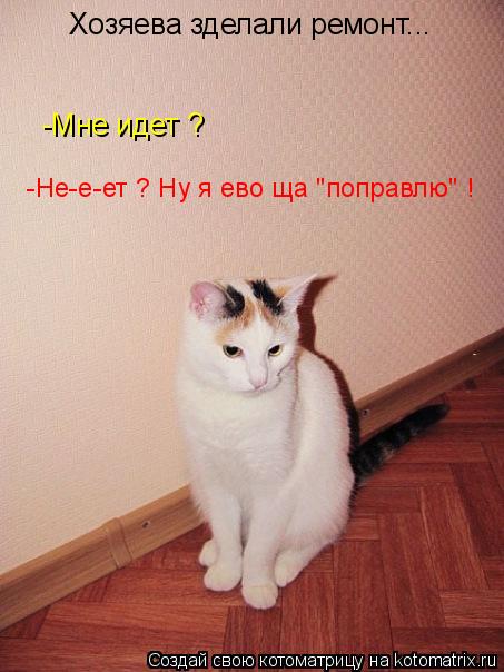 Котоматрица: Хозяева зделали ремонт... -Мне идет ? -Не-е-ет ? Ну я ево ща "поправлю" !