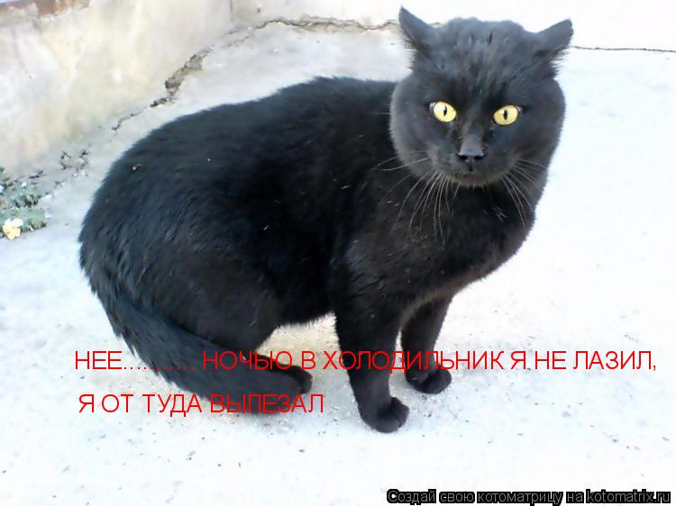Котоматрица: НЕЕ........... НОЧЬЮ В ХОЛОДИЛЬНИК Я НЕ ЛАЗИЛ Я ОТ ТУДА ВЫЛЕЗАЛ ,