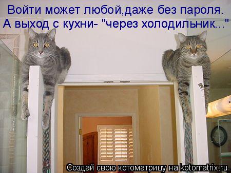 Войти может любой,даже без пароля. А выход с кухни- "через холодильник..." А выход с кухни- "через хо... Котоматрица: Войти может любой,даже без пароля. А выход с кухни- "через холодильник..." А выход с кухни- "через холодильник..."