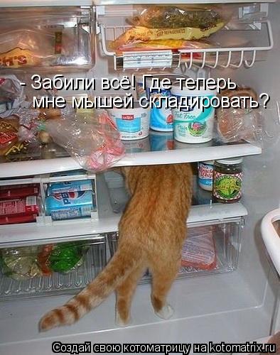 - Забили всё! Где теперь мне мышей складировать?... Котоматрица: - Забили всё! Где теперь мне мышей складировать?