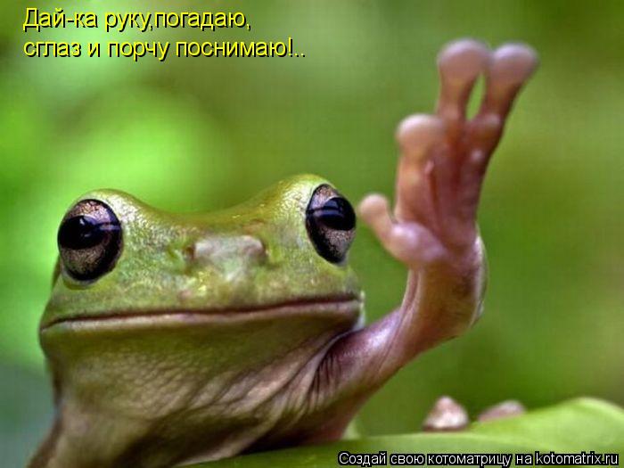 Дай-ка руку,погадаю, сглаз и порчу поснимаю!..... Котоматрица: Дай-ка руку,погадаю, сглаз и порчу поснимаю!..