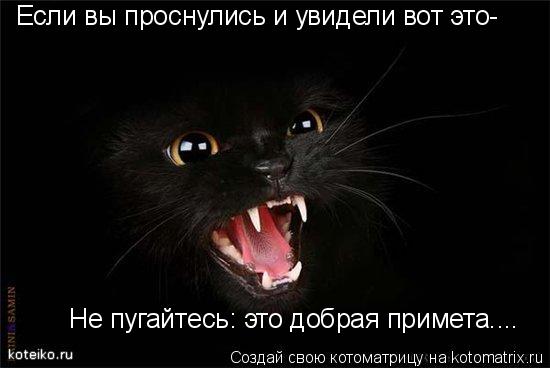 Котоматрица: Если вы проснулись и увидели вот это- Не пугайтесь: это добрая примета....