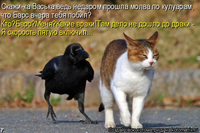 Скажи-ка Васька,ведь недаром прошла молва по кулуарам, Кто?Барс?Меня?Какие враки!Там дело не дошло до... Котоматрица: Скажи-ка Васька,ведь недаром прошла молва по кулуарам, Кто?Барс?Меня?Какие враки!Там дело не дошло до драки - что Барс вчера тебя побил? Я ско